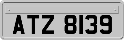 ATZ8139