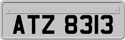 ATZ8313