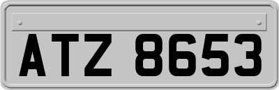 ATZ8653