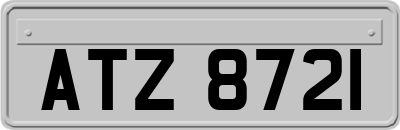 ATZ8721