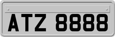 ATZ8888