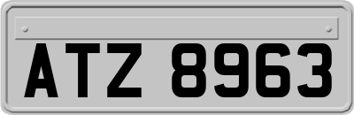 ATZ8963