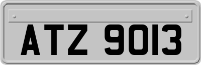 ATZ9013