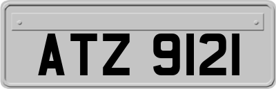 ATZ9121