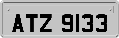 ATZ9133