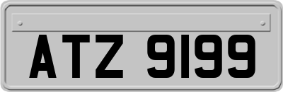 ATZ9199