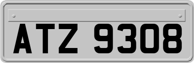 ATZ9308