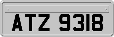 ATZ9318