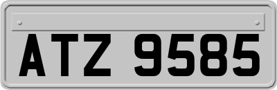 ATZ9585