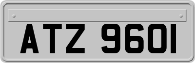 ATZ9601