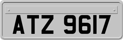 ATZ9617