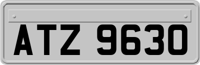 ATZ9630