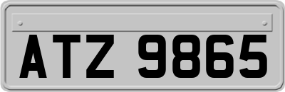 ATZ9865