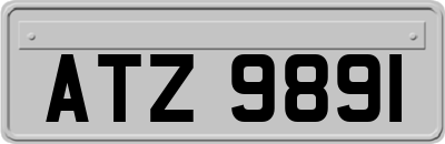 ATZ9891