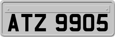 ATZ9905