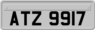 ATZ9917