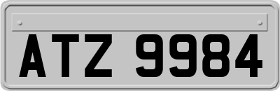 ATZ9984