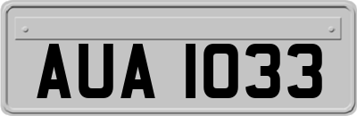 AUA1033