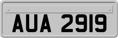 AUA2919