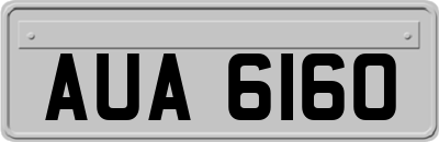 AUA6160
