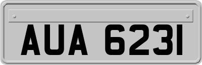 AUA6231