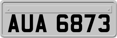 AUA6873