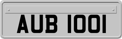 AUB1001