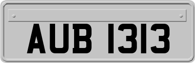 AUB1313