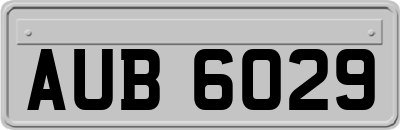 AUB6029