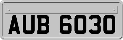 AUB6030