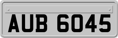 AUB6045