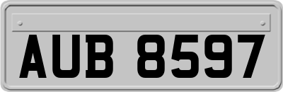 AUB8597
