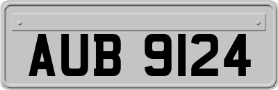 AUB9124