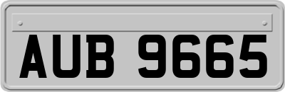 AUB9665