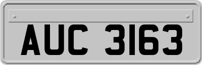AUC3163