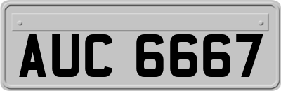 AUC6667