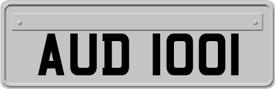 AUD1001