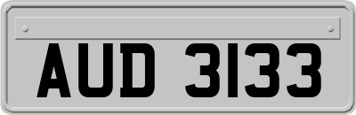 AUD3133