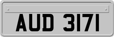AUD3171