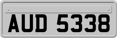 AUD5338