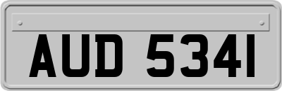AUD5341