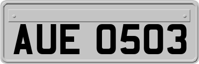 AUE0503