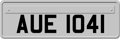 AUE1041
