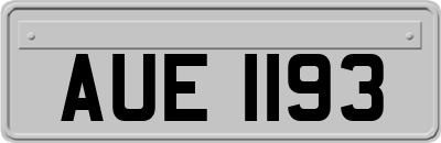 AUE1193