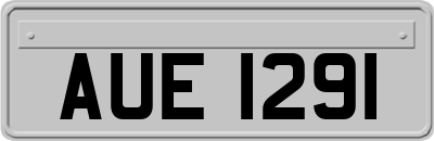 AUE1291