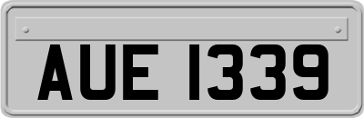 AUE1339