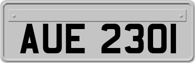 AUE2301