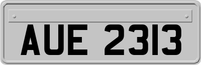 AUE2313