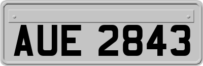 AUE2843