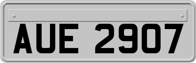 AUE2907